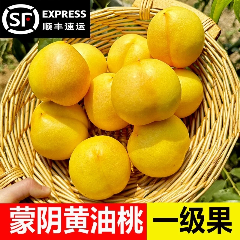 【顺丰包邮】山东蒙阴头茬黄金油桃4.5斤现摘现发脆甜多汁 黄心黄肉当季新鲜水果桃子山东省