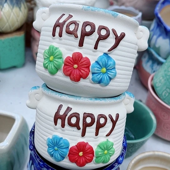 多肉绿植陶瓷花盆9.9，有空