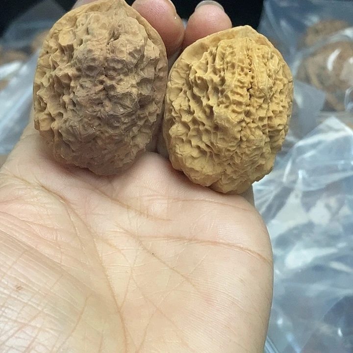 木质类云南铁核桃基地98