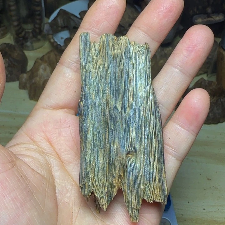 木吉*斯绿奇楠天然沉水虫漏料11.7克