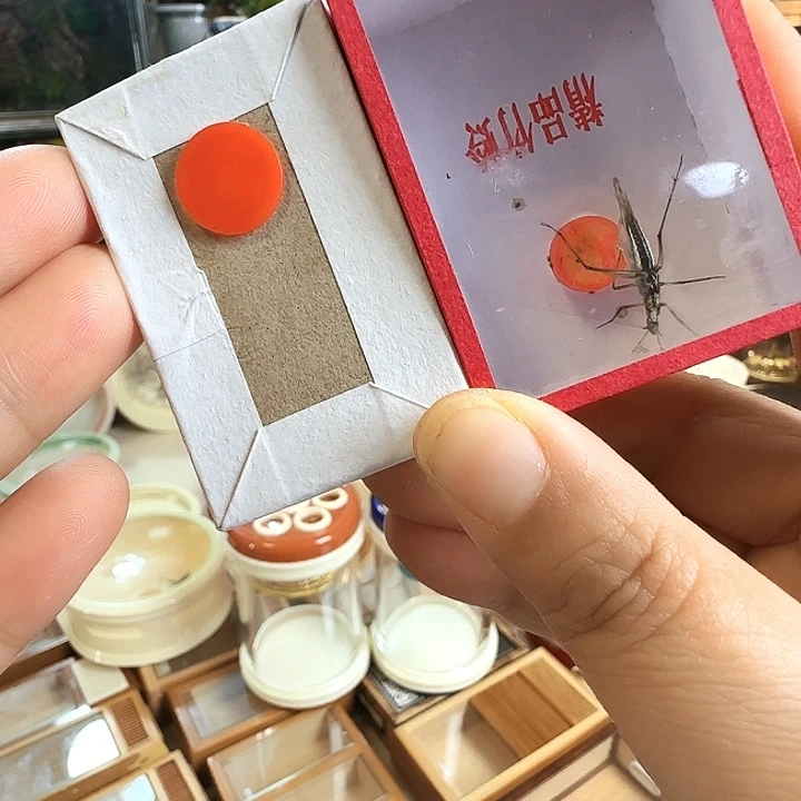 30一只油➕紫竹啊啊啊啊啊啊