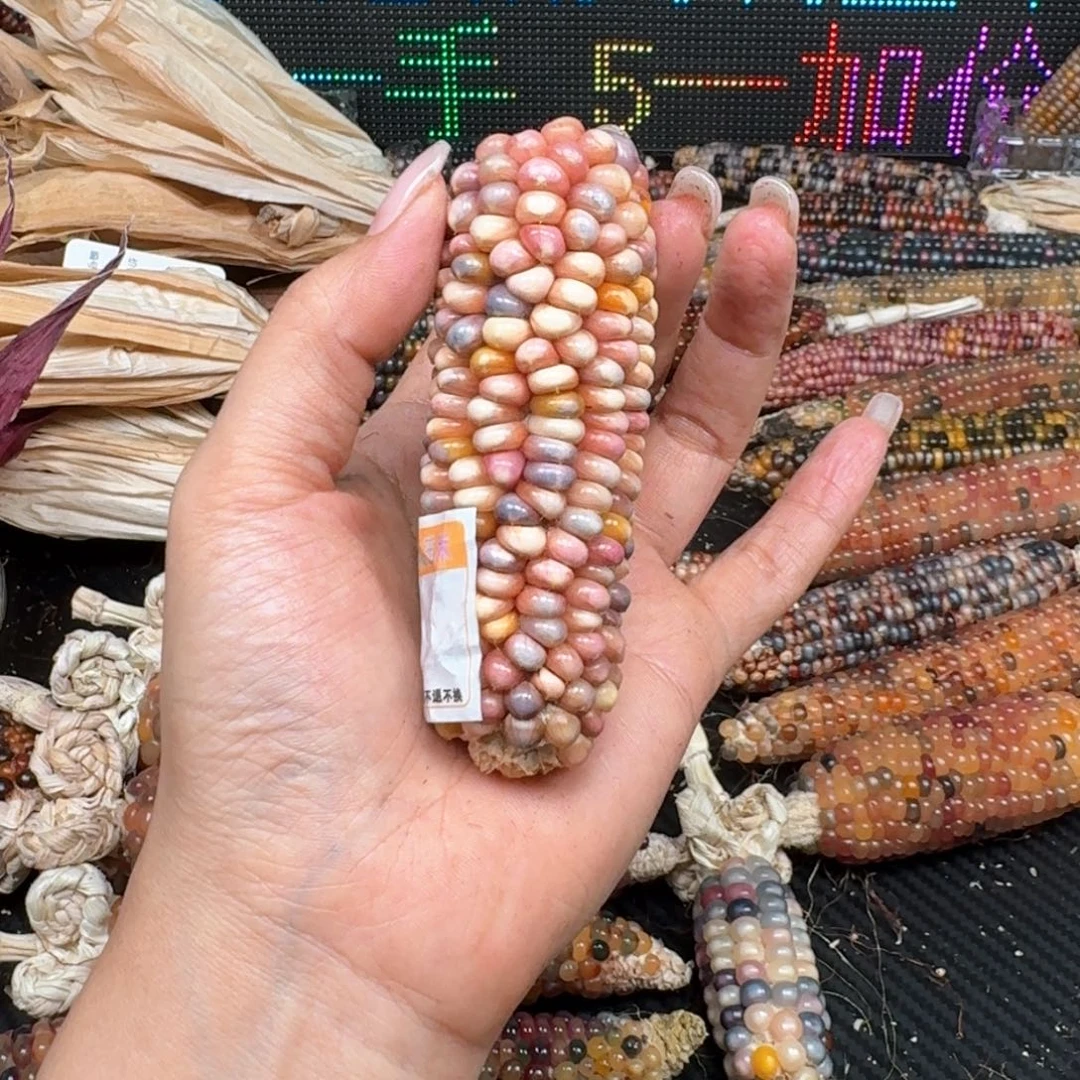 柏香籽/百香籽吊坠不**此