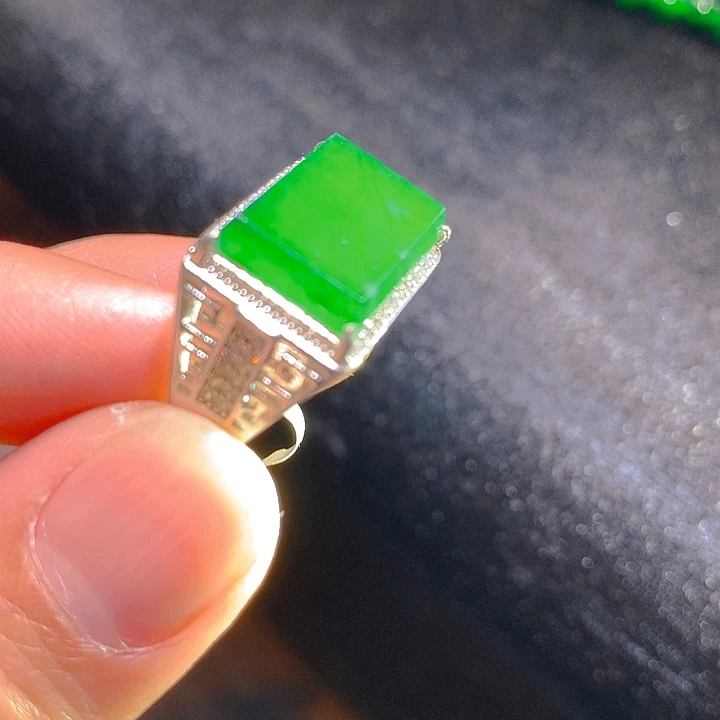 【闪购商品】翡翠颈饰银S925镶嵌翡翠