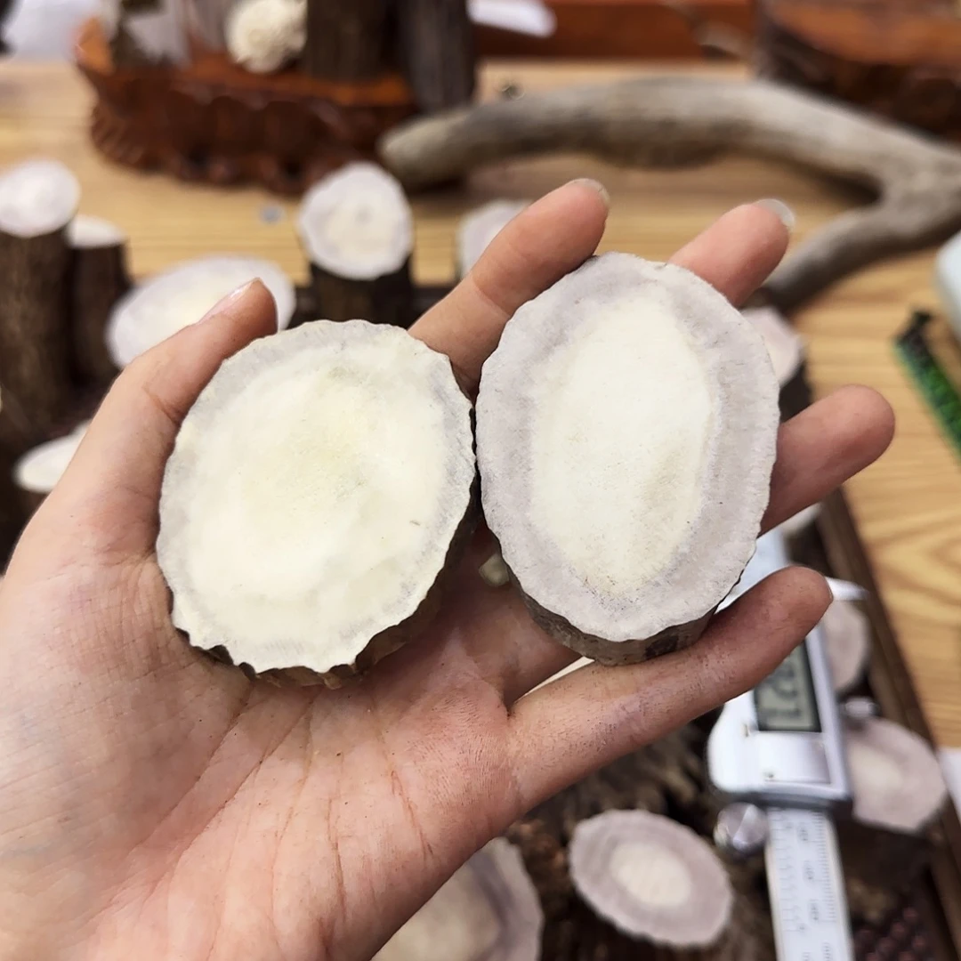 鹿骨手串/手链0130来个片