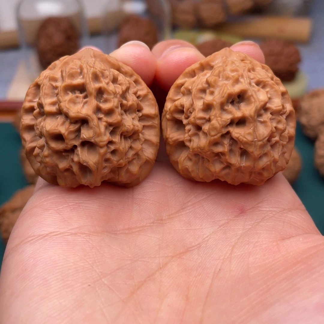 35尺全品无修鱼鳞纹马蹄