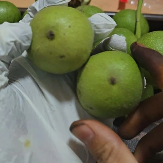 核桃盘山三棱青皮不退不换定制商品