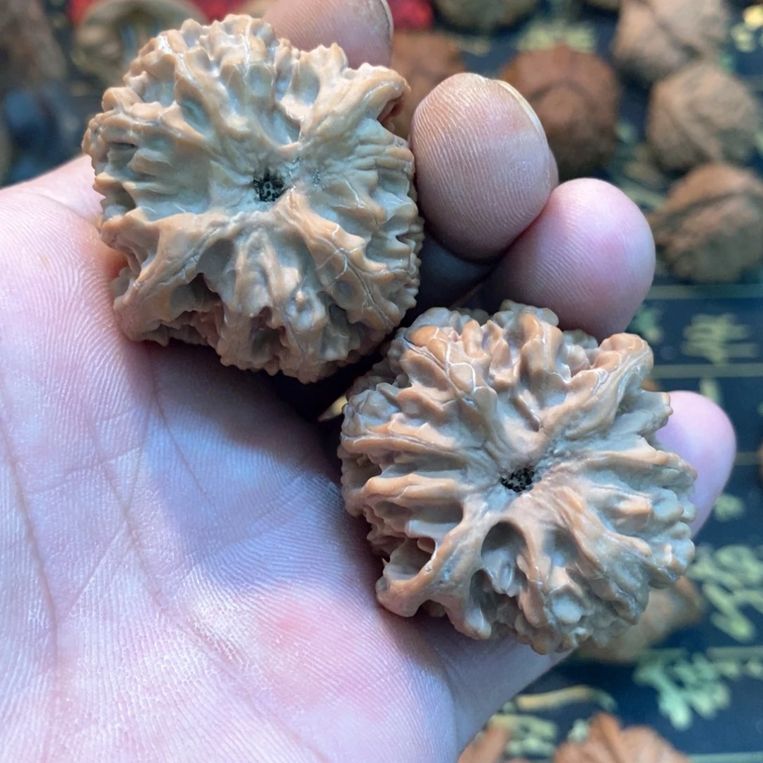 文玩麻核桃苹果 尺寸4.0