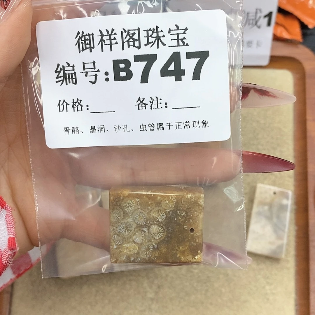 硅化珊瑚（珊瑚玉）颈饰未镶嵌萤****`