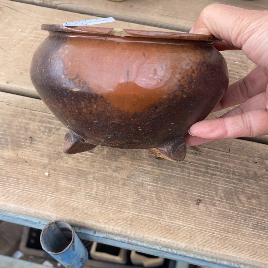 *****3号多肉盆口径11瑕疵