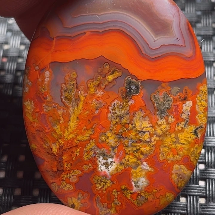 未镶嵌颈饰玛瑙/玉髓鹰**说