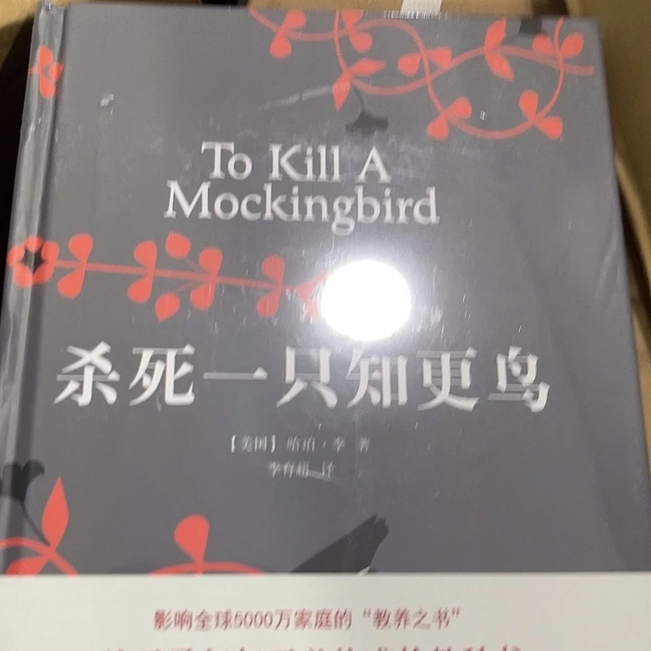 杀死一只知更鸟十三米
