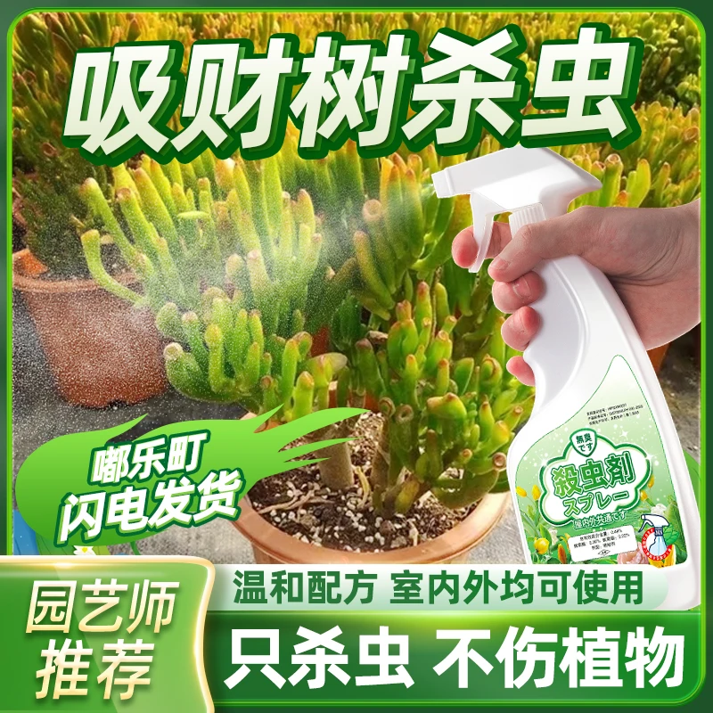 吸财树蚧壳虫专用杀虫剂玉树卷除虫筒叶花月药长虫驱虫生介壳防虫