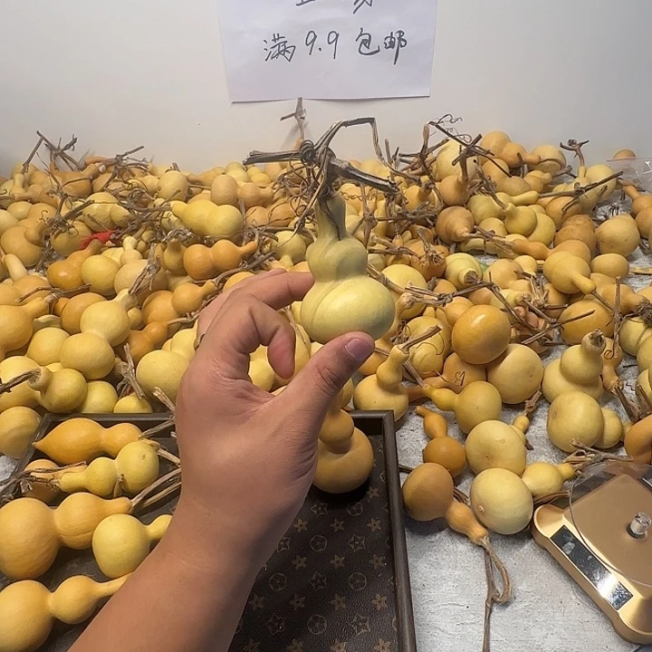 可***乐感谢大哥支持兄弟