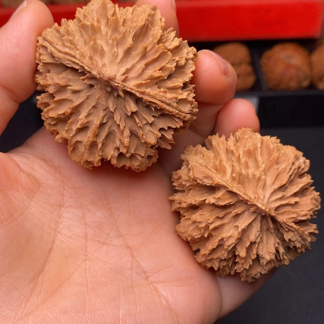 文玩核桃把件秦岭野生核桃