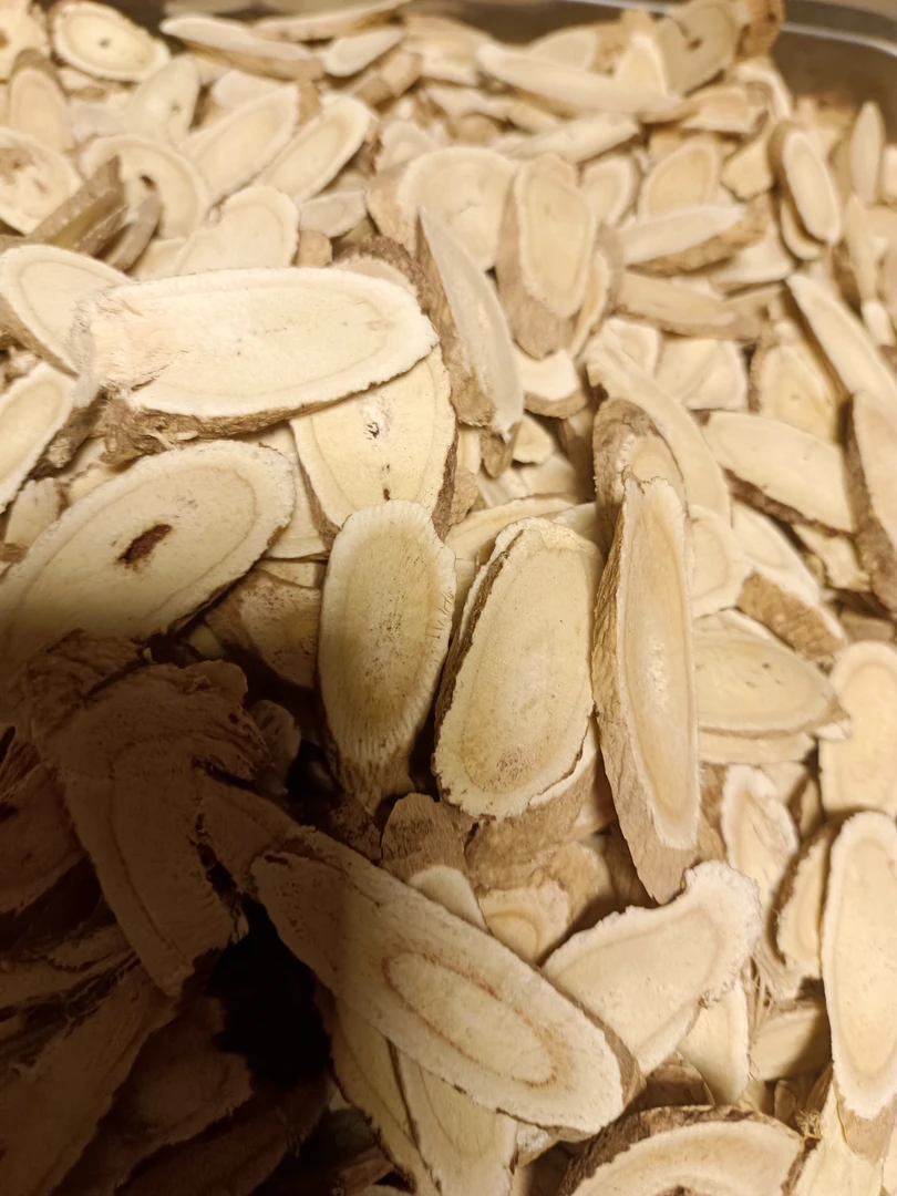 甘肃野外采挖老黄芪