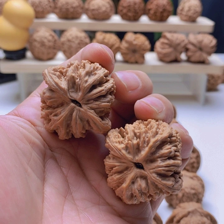 麦穗虎头全品39/38/40