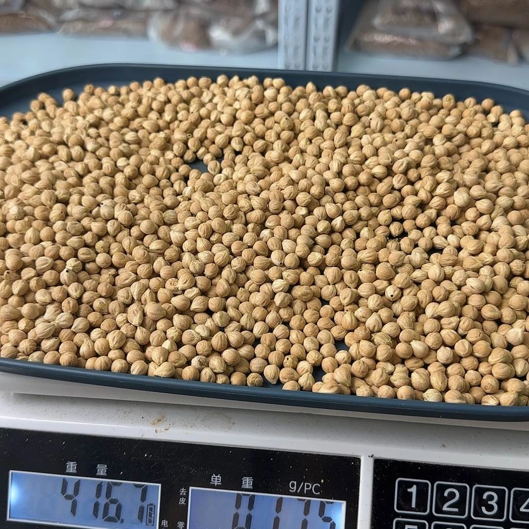 吊坠柏香籽/百香籽307号6.5+416克MY02