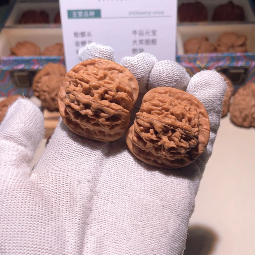 把件文玩核桃37 36 天地 9253