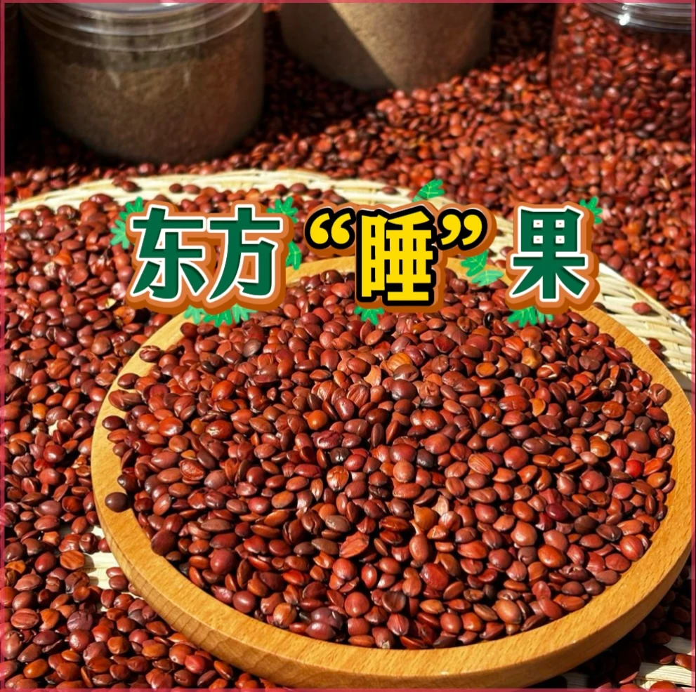 【酸枣仁】甄选太行山正宗河北道地产区内丘酸枣仁生熟酸枣仁粉失眠