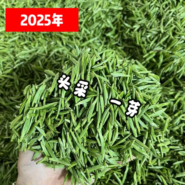 【一芽】头采单芽苏州东山碧螺春茶叶自家茶园