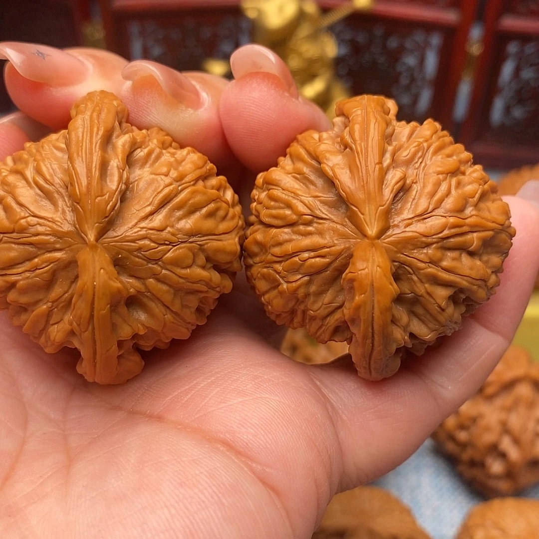 文玩核桃把件43精品毕业白狮子