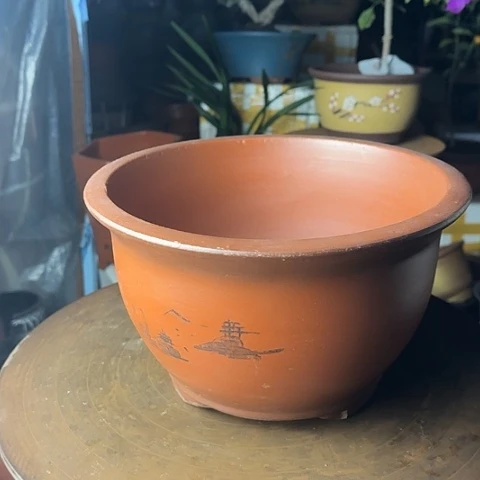 紫砂紫砂紫气东来31