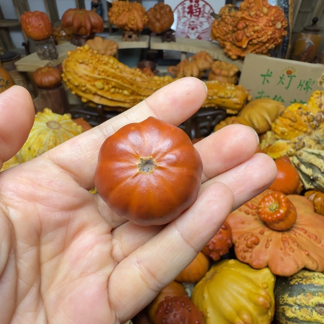 董***胖特价葫芦不退不换