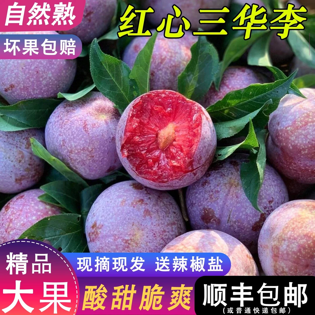 【生鲜专线】正宗高山广西红心银妃三华李新鲜现摘酸脆李子当季酸甜