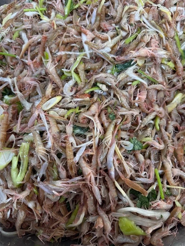 生呛嘎巴虾夹板虾500g*2桶顺丰包邮（介意小的勿拍）