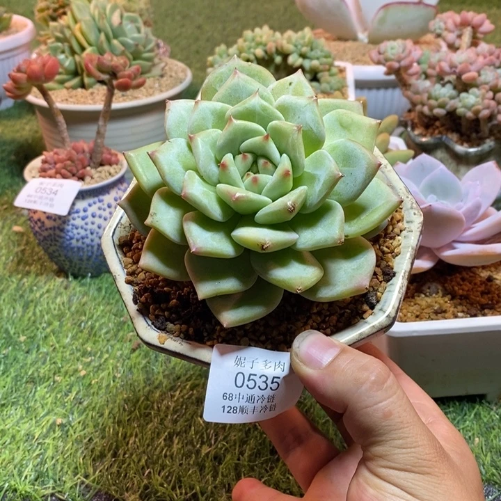 0535啊啊啊啊啊啊啊啊啊啊