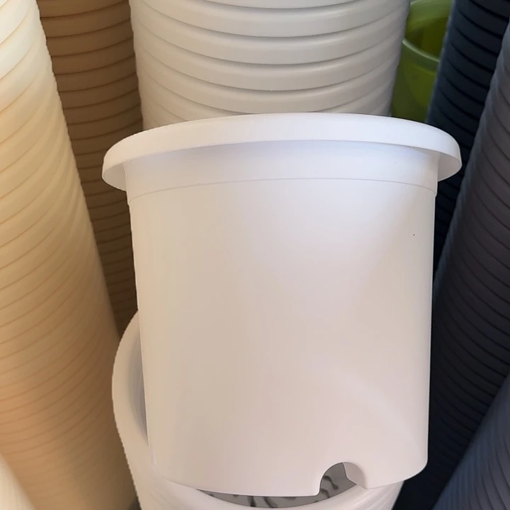 四季4号纯白无托10个特价微瑕