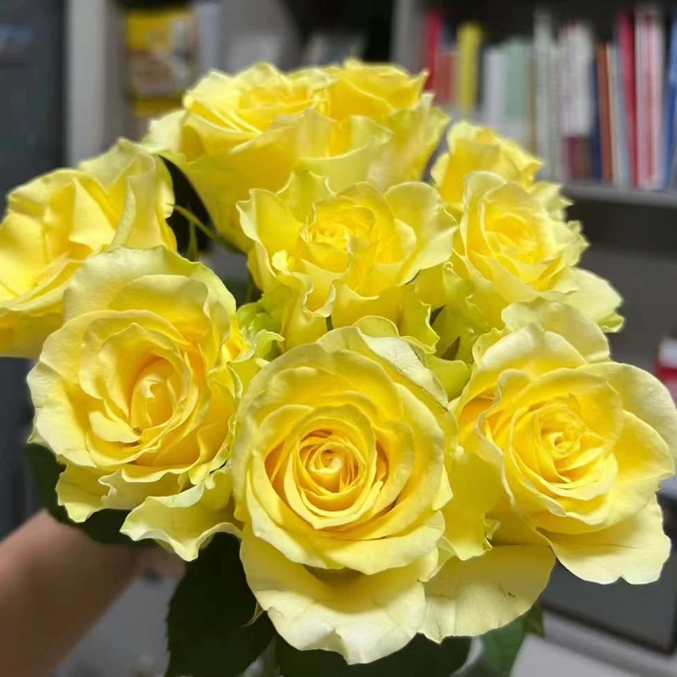 氧花季 浪漫沙滩玫瑰18支+2支防损 收到先醒花 拍2单升级快递