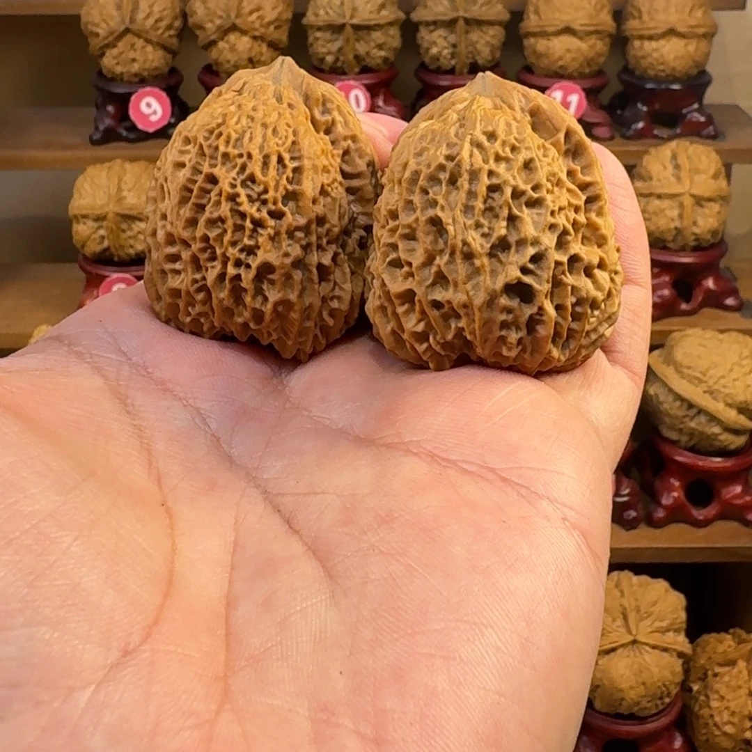 *****铁核桃把件粗筋臻龙