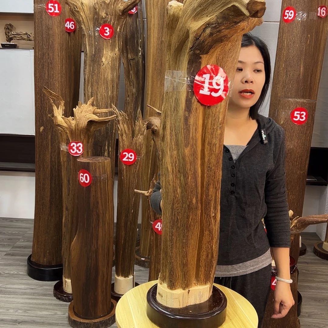 沉香碎屑沉香沉香