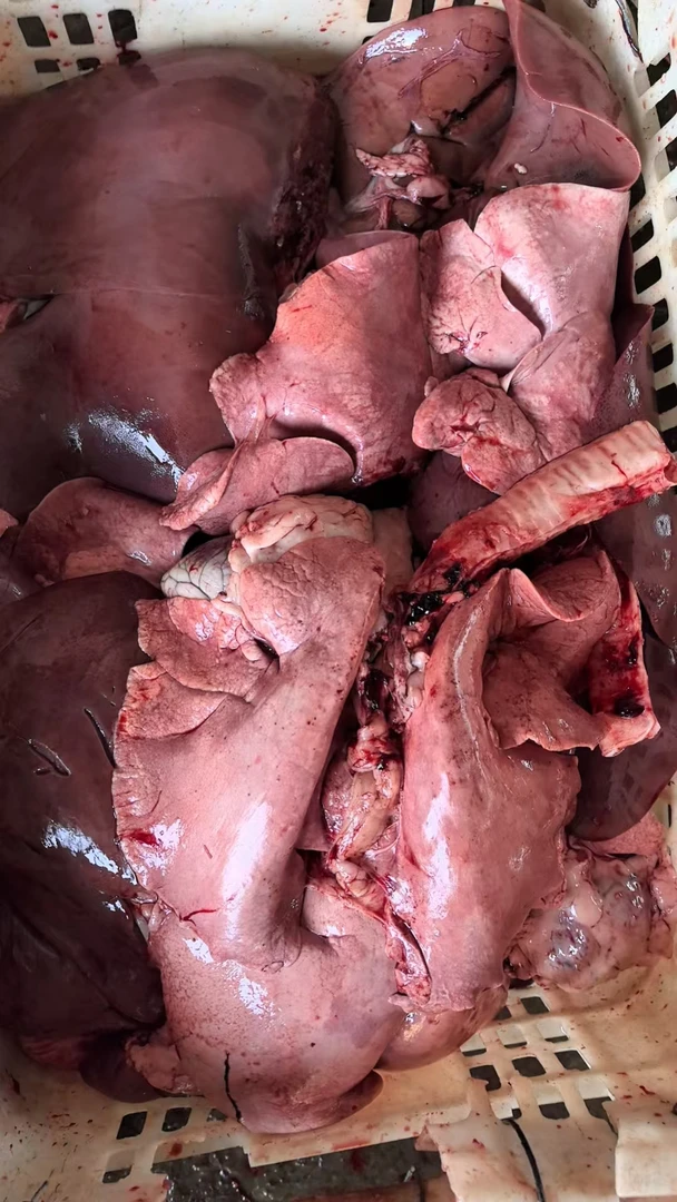 清真 新鲜心肝肺，羊杂汤，爆炒