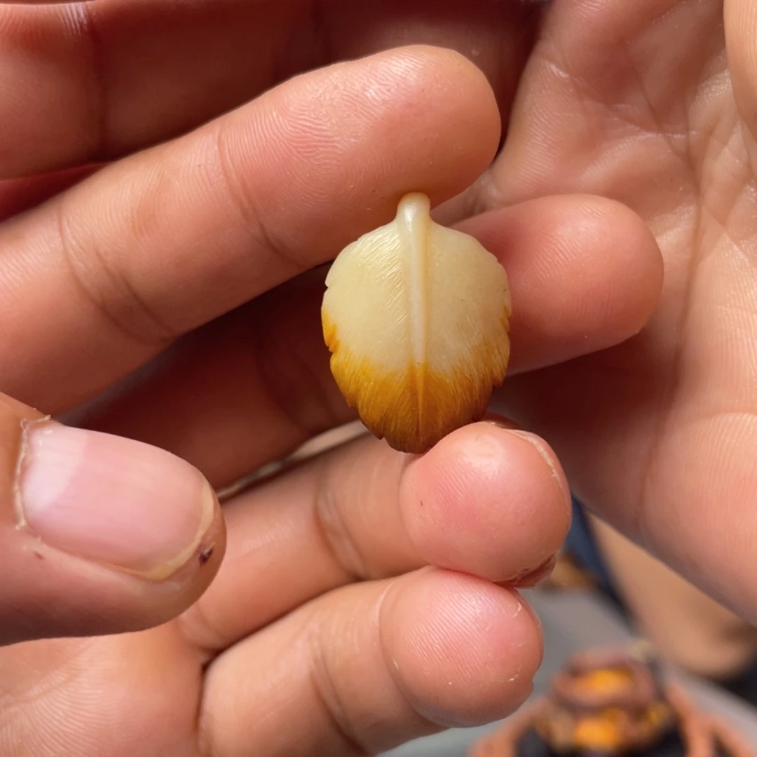 木方颜竹木艺术方颜竹木艺术