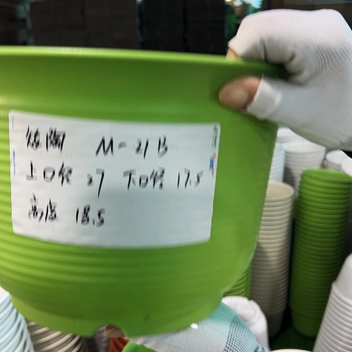正品矮陶口27高18.5果绿无托6个