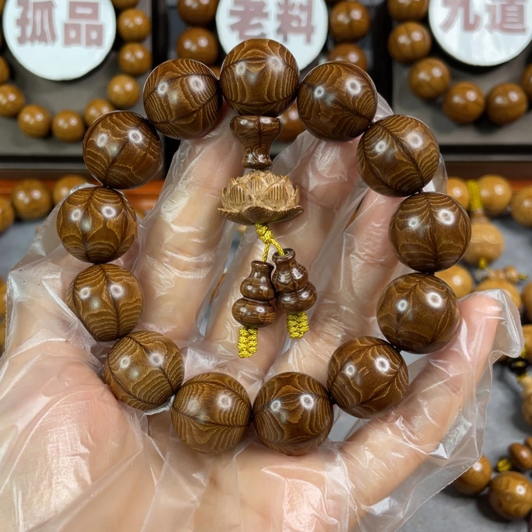 六道木枯树， 毕业1.8