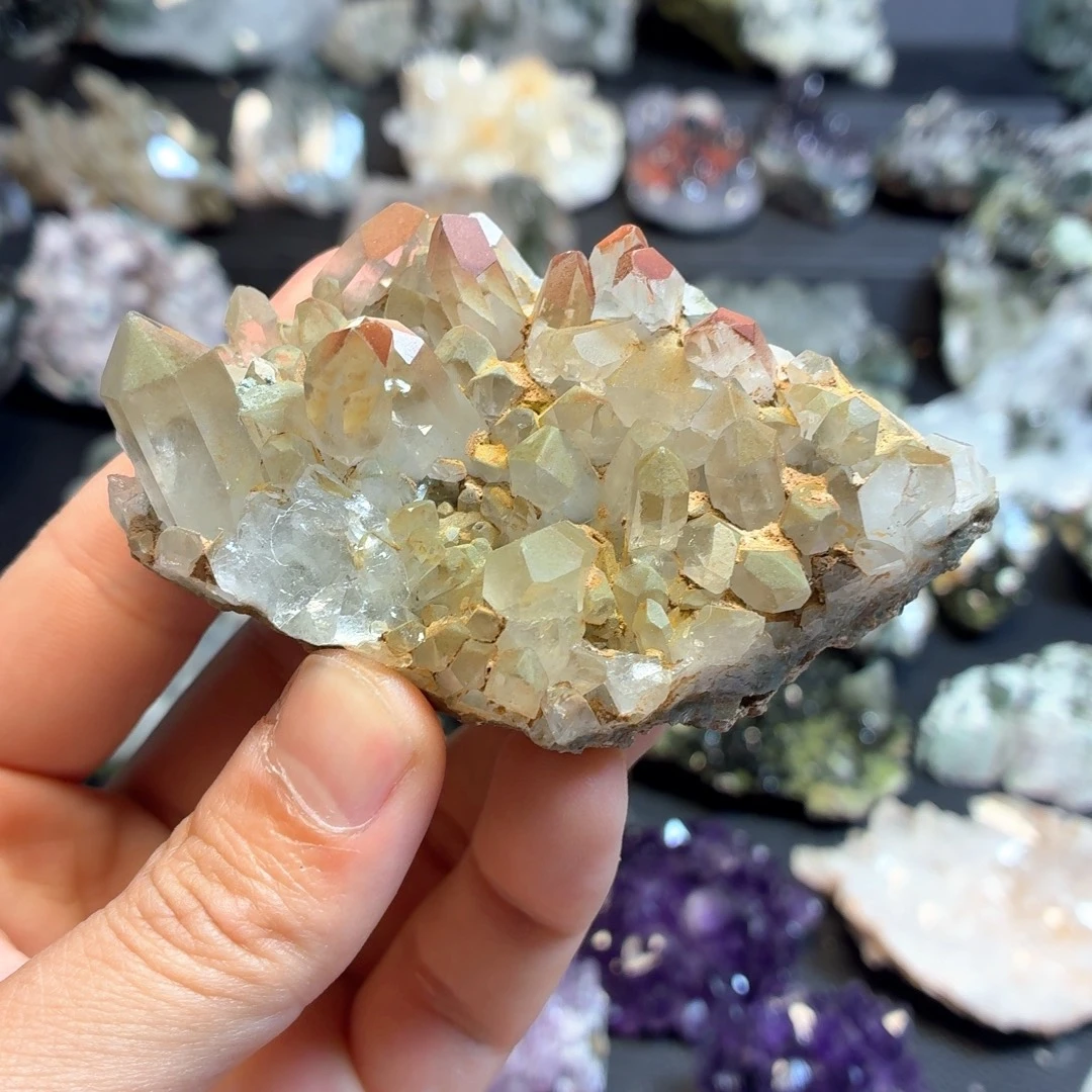 有机玻璃红皮绿幽