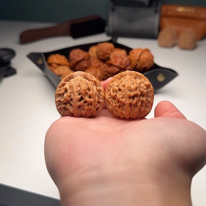 36-36-35一代天地21号