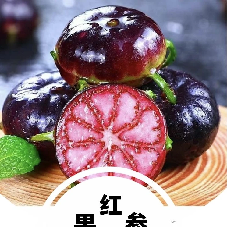 云南高山红果参稀有水果水果蜘蛛果YY