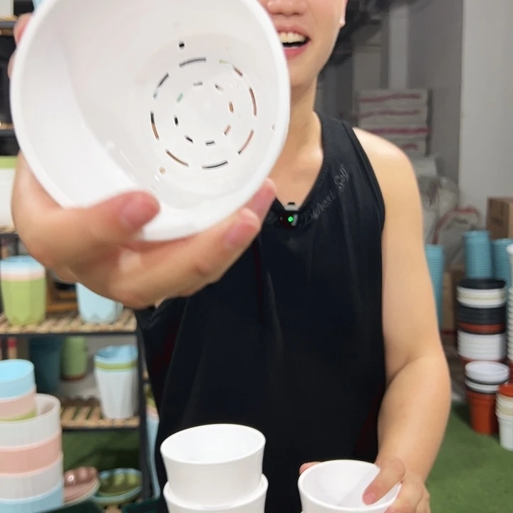 竹节口10高10白色无托10只