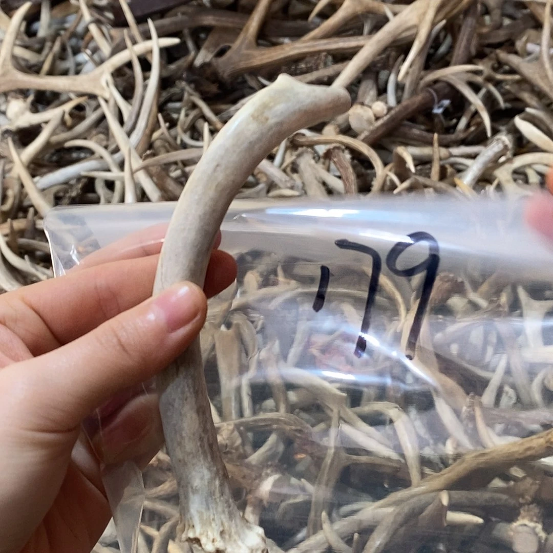 银***河非金属鹿角鹿角鹿