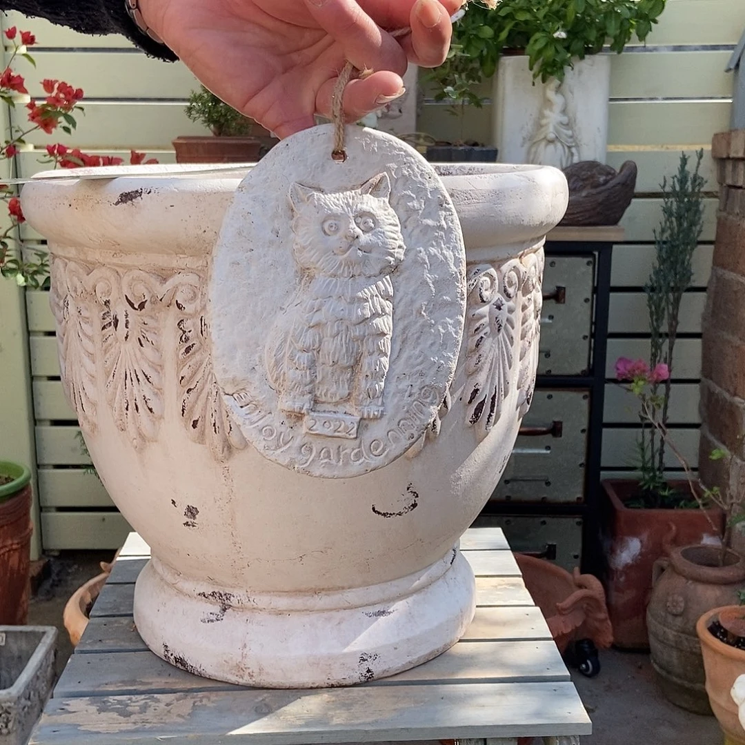 猫摆件上新价。