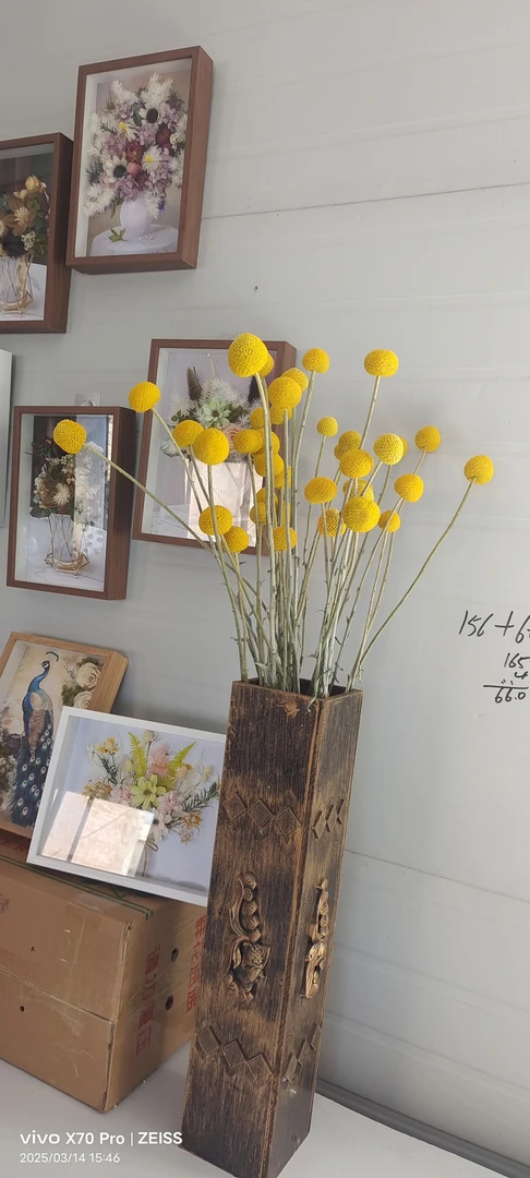 黄金球，干花，鲜花