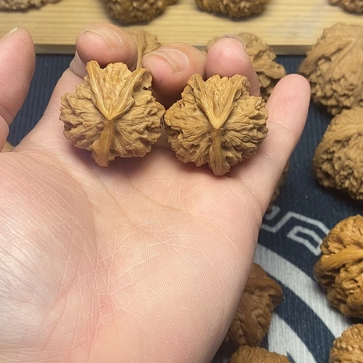 核桃32盘山三棱福利