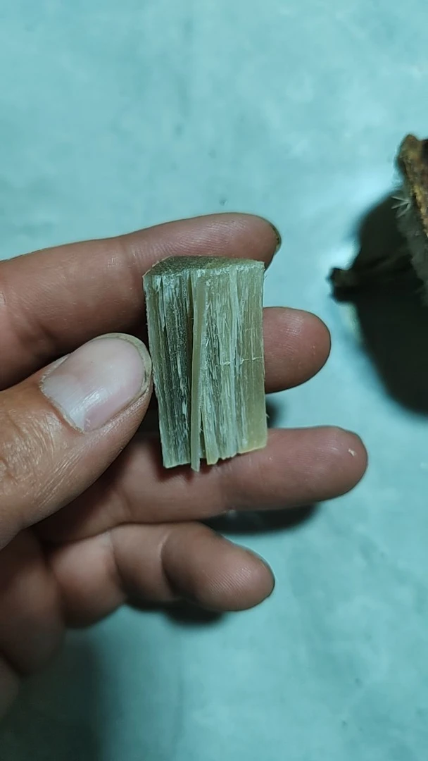 悦农土特产 叫叫 菇