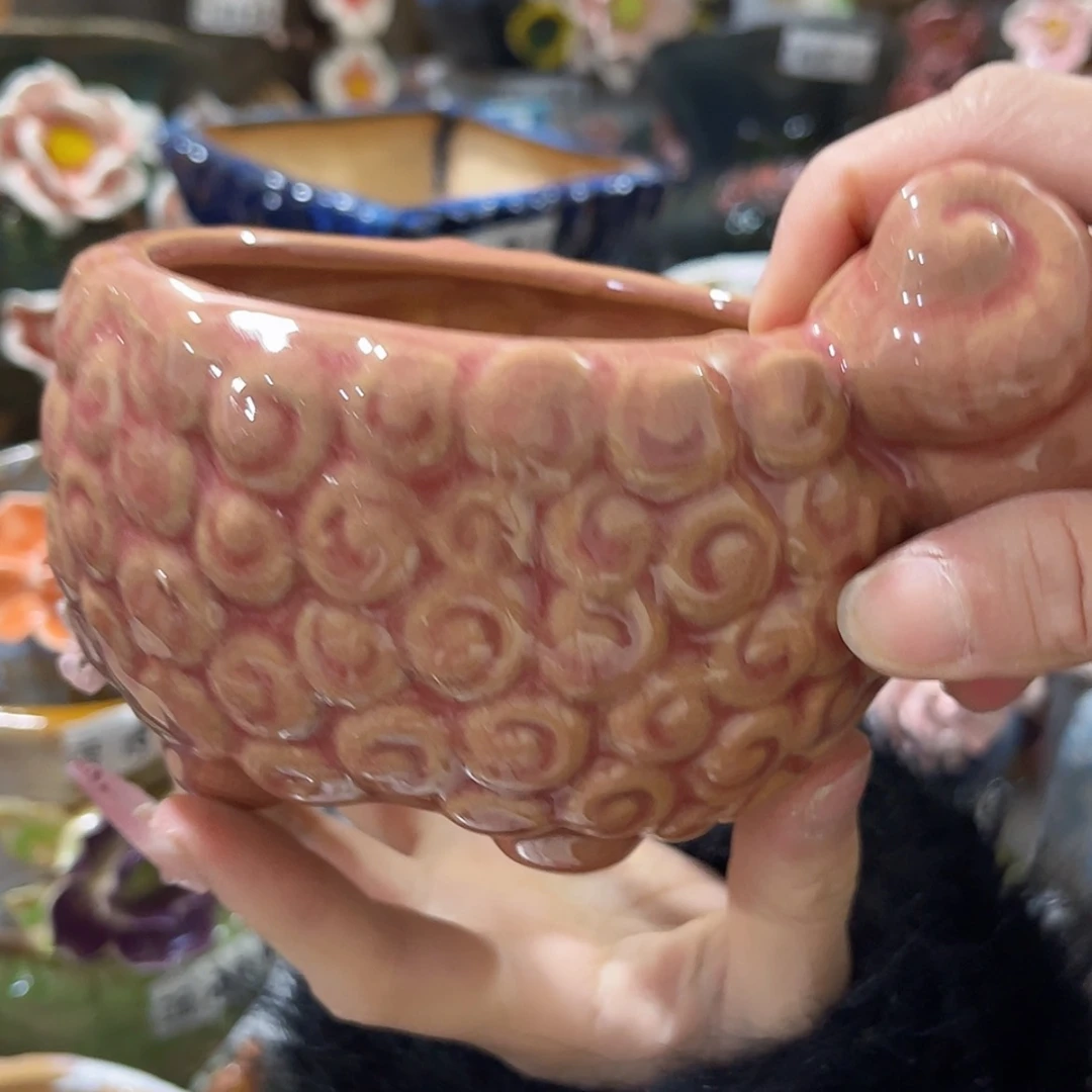 【闪购商品】红陶福利