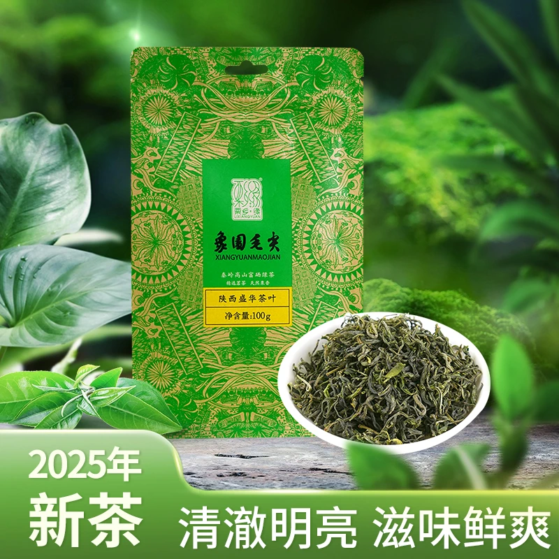 秦岭高山毛尖茶叶绿茶2025新茶明前毛尖茶嫩芽栗香型手工炒制