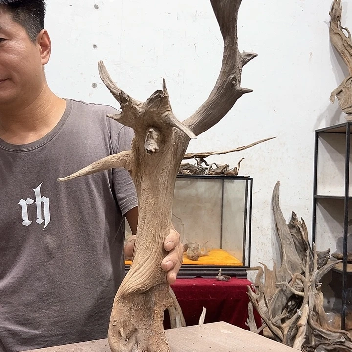 柏木崖***工我们都是好孩子呀我也是